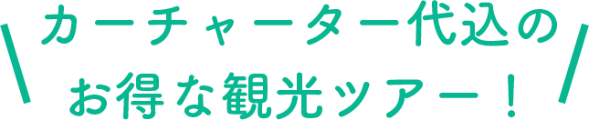 カーチャーター代込のお得な観光ツアー！